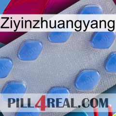 Ziyinzhuangyang 21